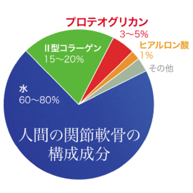 67プロテオグリカン8