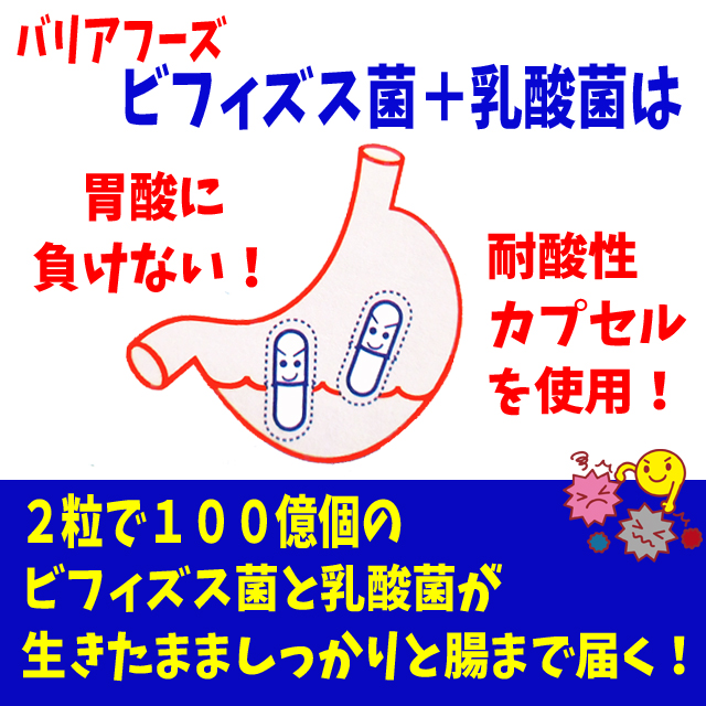 バリアフーズ ビフィズス菌 乳酸菌 生きたまま腸まで届く 耐酸性カプセル使用 60粒入り サプリメント